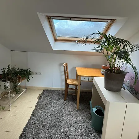 ホームステイ Maison D'hote