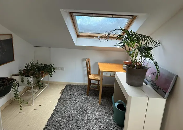 홈스테이 Maison D'hote